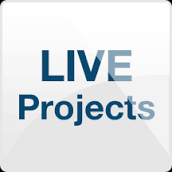 Live project support